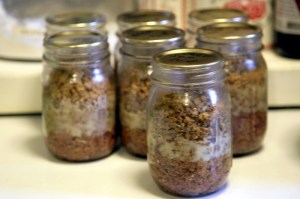 Pressure Canned Beef no liquid added