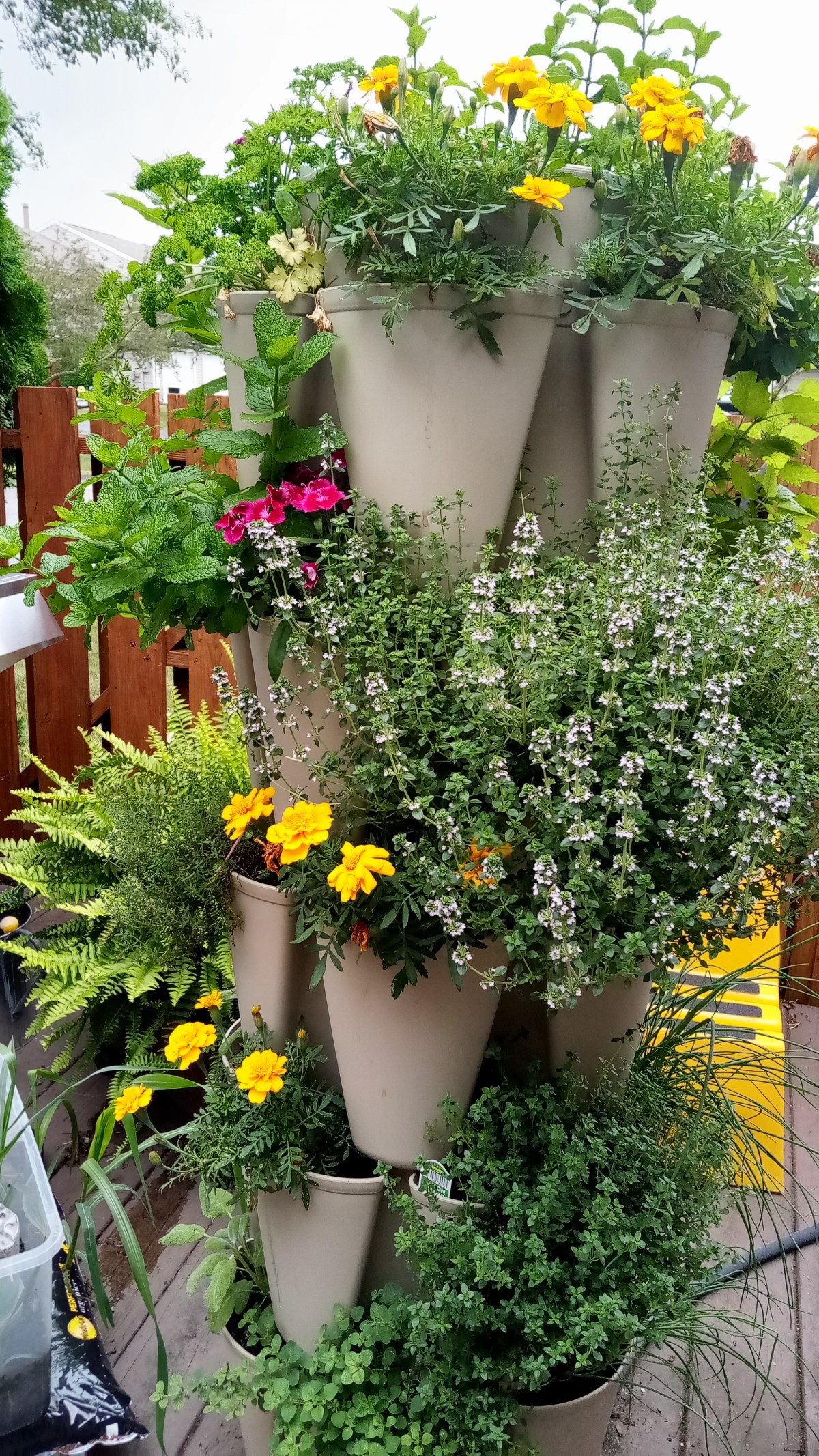 Gardening in Small&nbsp;Spaces